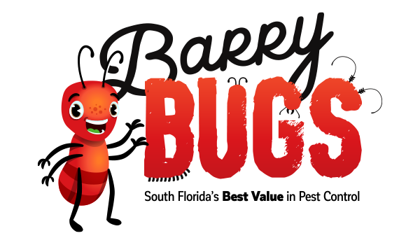 rebrand-logofolio-new-barry-bugs-1